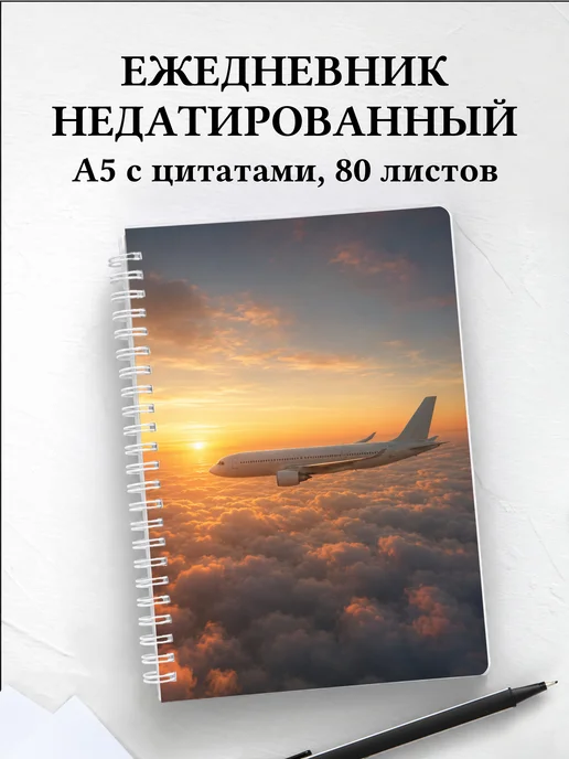 Ежедневник недатированный пилота