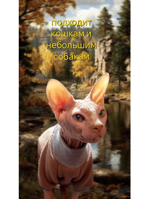 ANY PET Толстовка флис M для животных, бежевый, фото 5