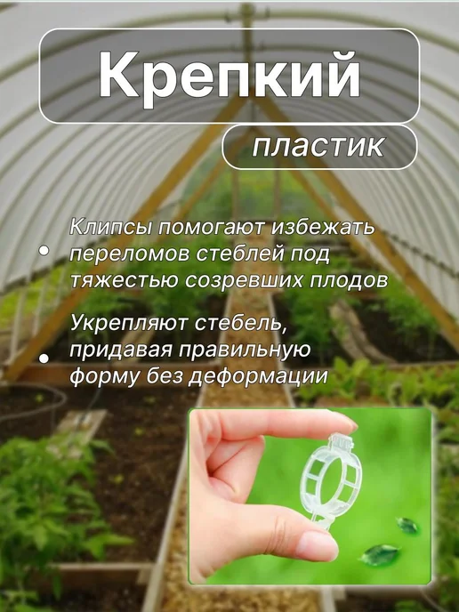 Клипсы для подвязки растений 2.5 см x 2.5 см 100 шт штук, 100 шт, фото 3