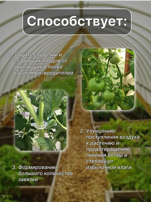 Клипсы для подвязки растений 2.5 см x 2.5 см 100 шт штук, 100 шт, фото 4