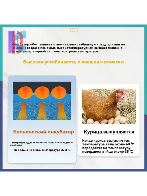 Авто Автоматический инкубатор для яиц с термостатом инк, вариант, фото 8