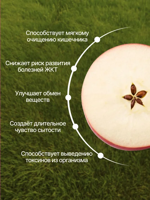 Яблочная клетчатка для похудения, натуральная, 450 гр, 450 г, фото 2
