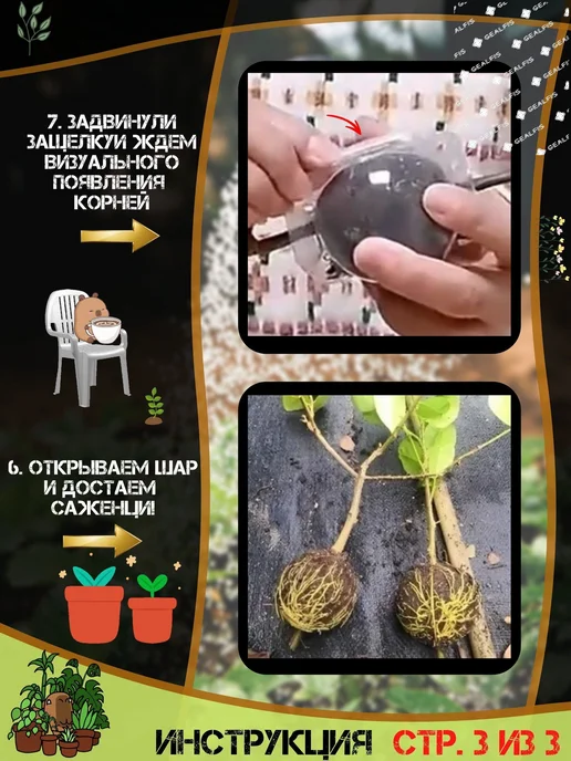Набор для выращиванияТепличка для рассады с крышкой 10шт，5cm, 10 шт, фото 3