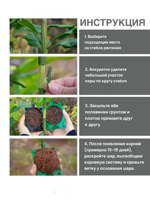 Набор для выращиванияТепличка для рассады с крышкой 10шт，5cm, 10 шт, фото 6