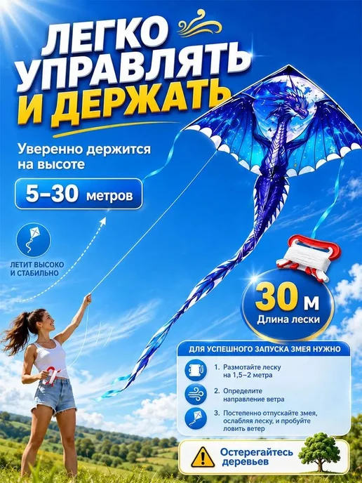 Воздушный змей, вариант, фото 3