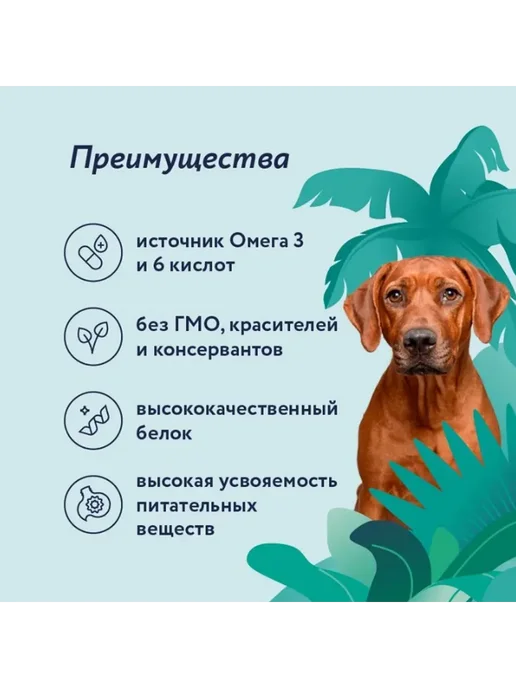 Сухой корм FLORIDA Яблоко для собак, крупные, курица, 1 кг, фото 4