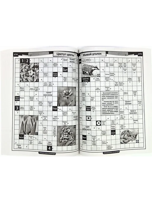 Русский сканворд Большая книга сканвордов № 2 2026, № 3, фото 2
