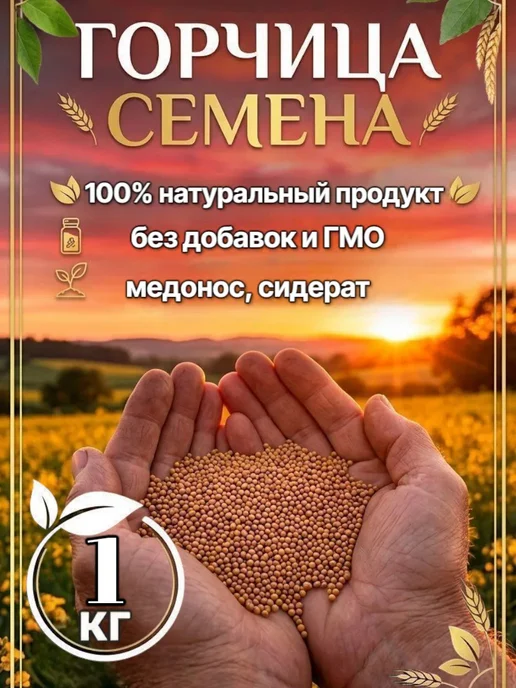 ВЗРЫВ УРОЖАЯ Горчица желтая сидерат семена, желтый