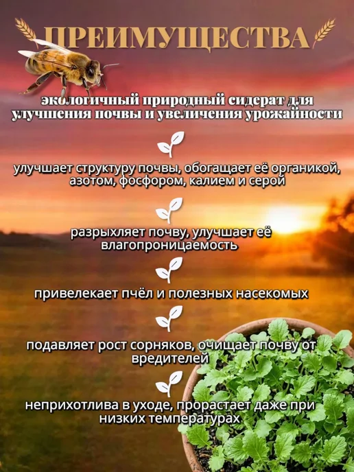 ВЗРЫВ УРОЖАЯ Горчица желтая сидерат семена, желтый, фото 3