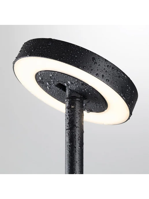 Odeon Light Ландшафтный светильник DISC 7189 6GL металл, черный, фото 6