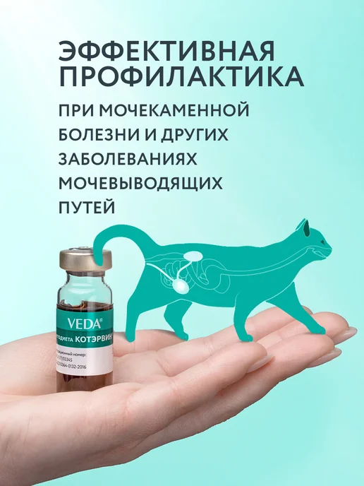 veda Средство для профилактики МКБ Фитодиета КОТЭРВИН, 2 шт, 2 шт, фото 2