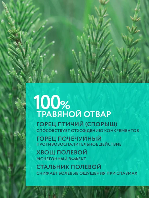 veda Средство для профилактики МКБ Фитодиета КОТЭРВИН, 2 шт, 2 шт, фото 7