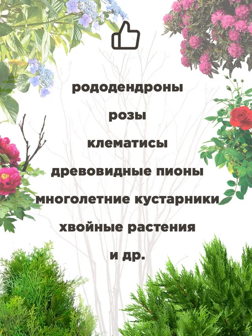 Укрытие для садовых растений роз, колпак спанбонд, 5 шт, 5 шт, фото 2