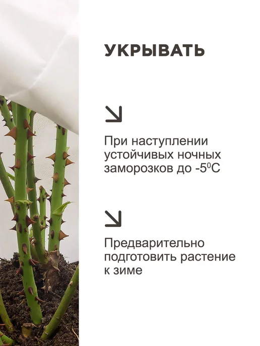 Укрытие для садовых растений роз, колпак спанбонд, 5 шт, 5 шт, фото 6