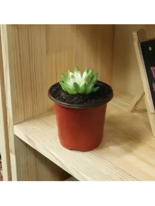 Нет бренда Детский горшок пластиковый, цвет 9cm-20pcs, 10cm-50pcs, фото 6