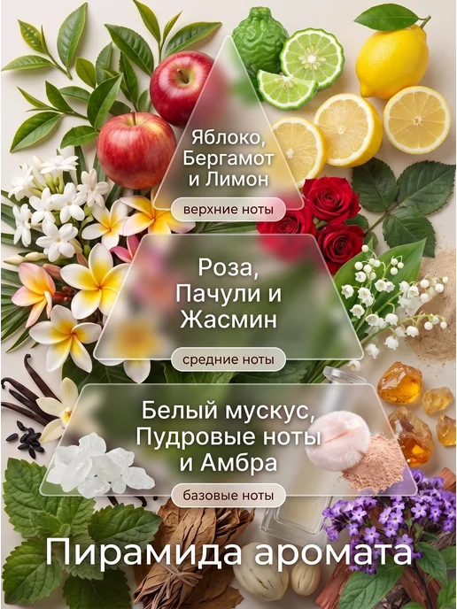 SiLVANA ViP Дезодорант унисекс спрей парфюмированный U113 STAR NIGHT, 200 мл, фото 2