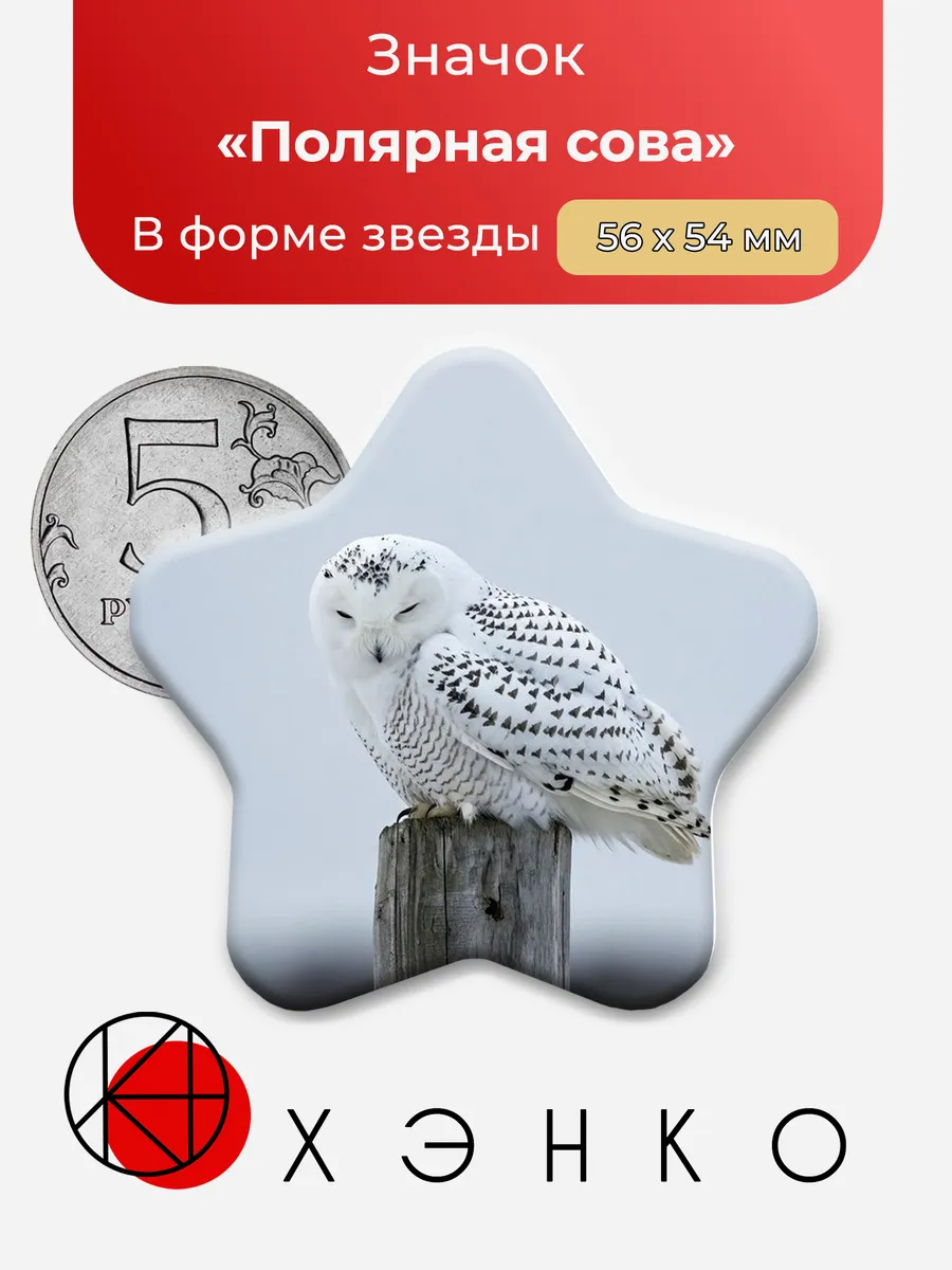 Полярная сова The polar owl