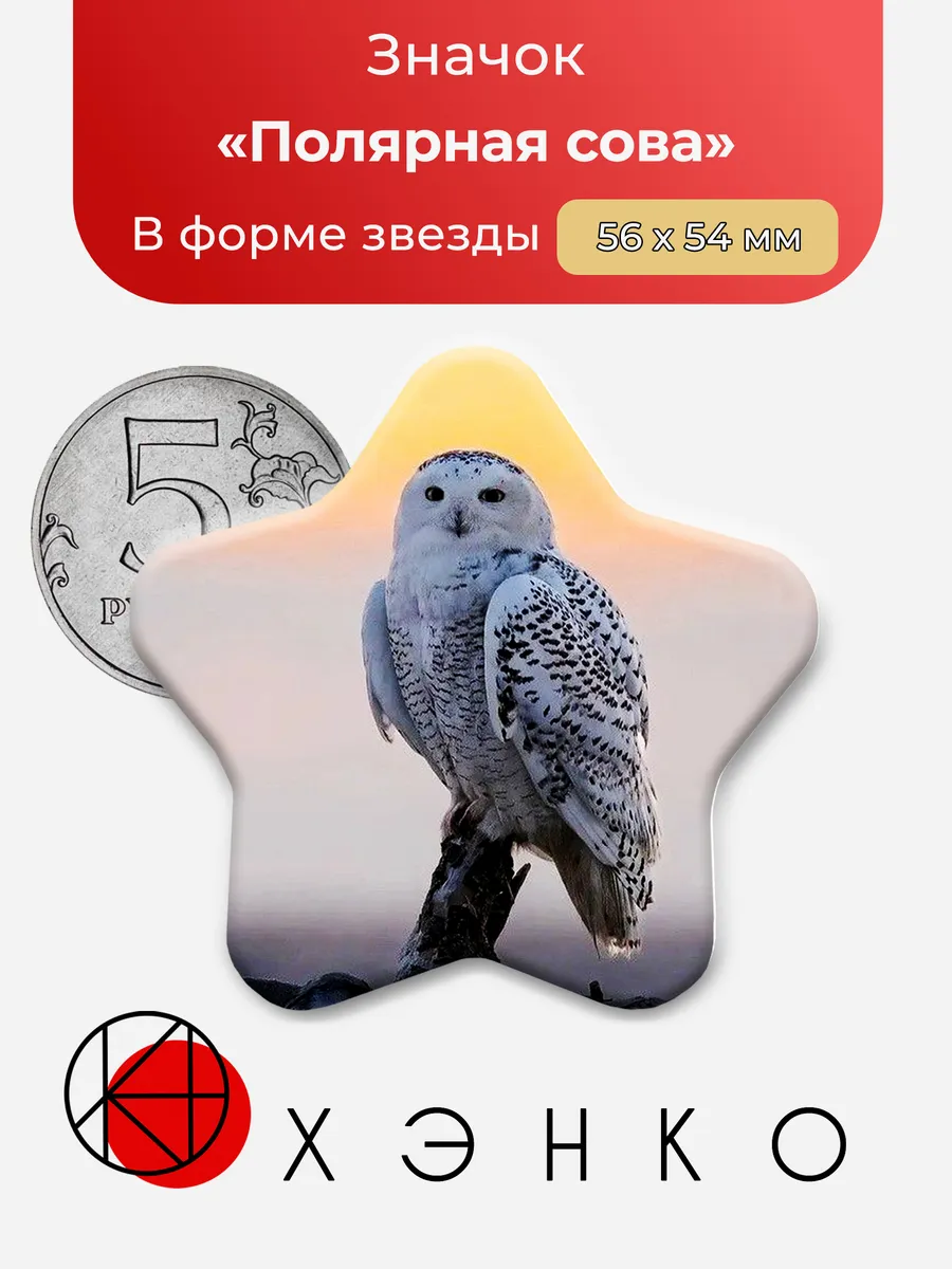 Полярная сова The polar owl