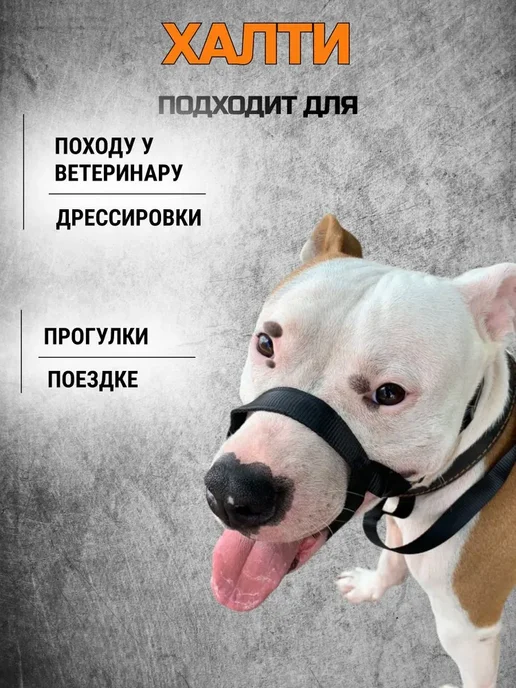 Намордник халти для собак крупных, черный, фото 4