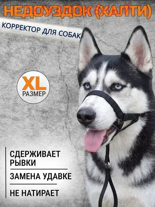 Намордник халти для собак крупных, черный, фото 6
