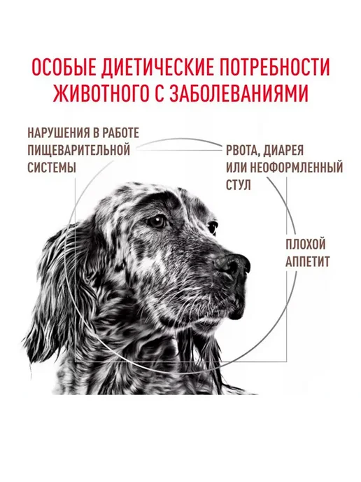 Сухой корм Royal canin Gastrointestinal Dog для собак, 2 кг, фото 4