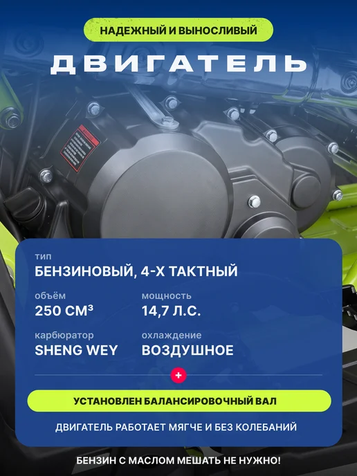 MotoHouse Квадроцикл бензиновый 250 кубов 4 такта Racer Tuphoon, черный, фото 4