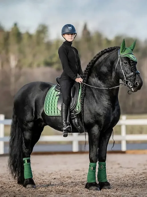 LeMieux Выездковый вальтрап Hunter Green, зеленый, фото 2