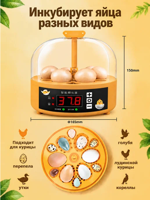 Инкубатор для яиц автоматический с терморегулятором, желтый, фото 4