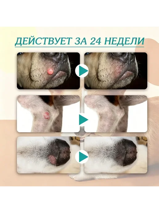 Раствор для удаления бородавок по грамму Пэт, вариант, фото 8