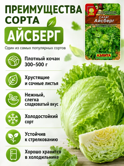 Аэлита Агрофирма Семена салат Айсберг кочанный хрустящий, набор 2 пакета, зеленый, фото 3