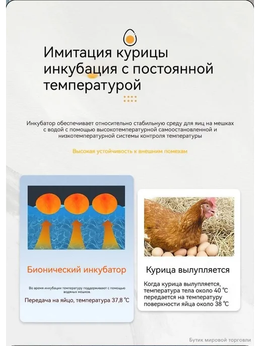 Инкубатор на 10-25 яиц с автопереворотом, вариант, фото 7
