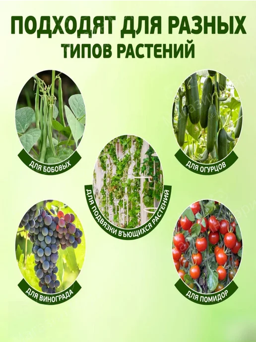 GEALFIS Клипсы для подвязки растений 13 см x 13 см 300 шт, 200 шт, фото 6