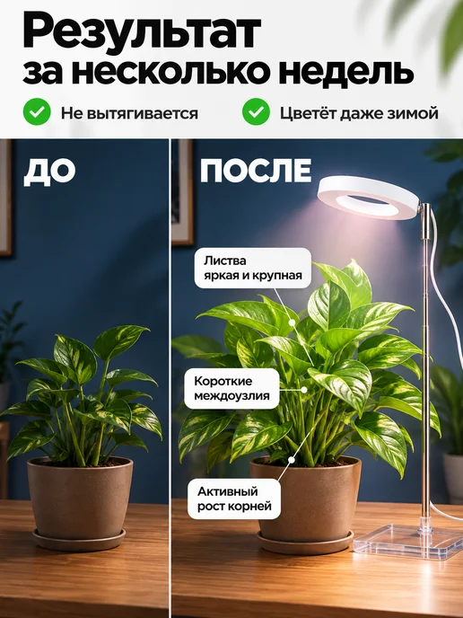 Wehe Фитолампа для растений полного спектра комнатных подставка, вариант, фото 2