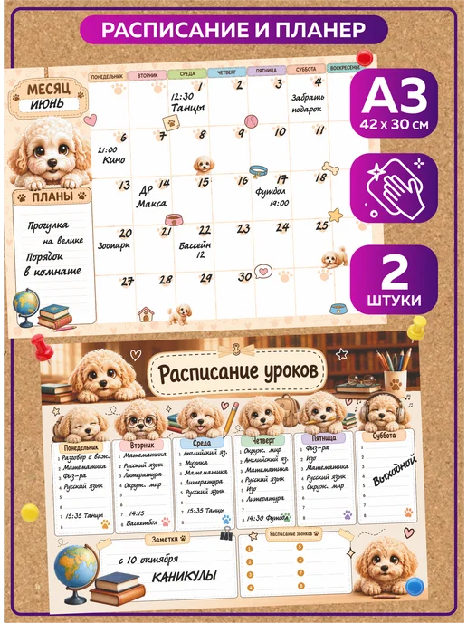 SuperFun Расписание уроков и планер многоразовые Мальтипу набор, вариант