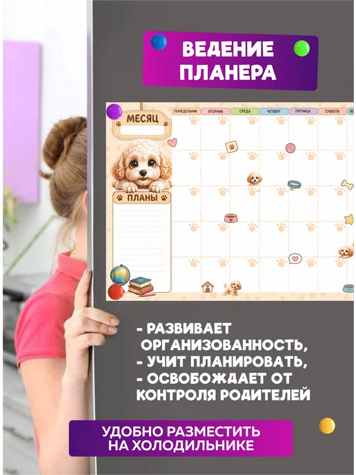 SuperFun Расписание уроков и планер многоразовые Мальтипу набор, вариант, фото 4