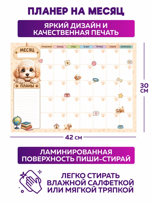 SuperFun Расписание уроков и планер многоразовые Мальтипу набор, вариант, фото 7