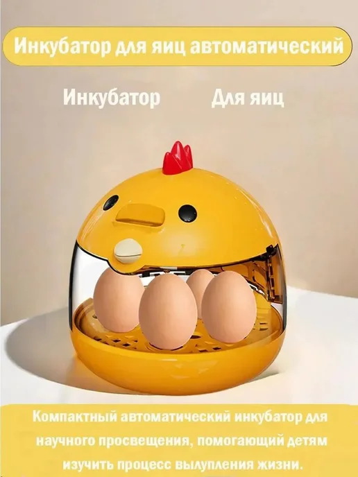 Инкубатор на 4 яйца, вариант