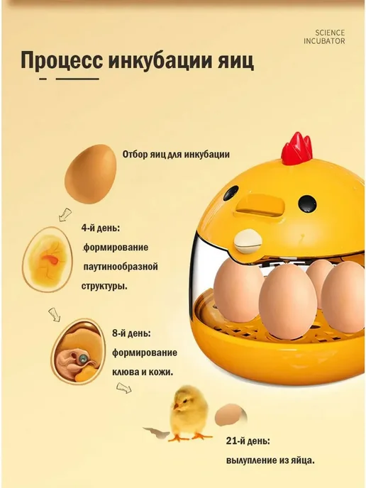 Инкубатор на 4 яйца, вариант, фото 4