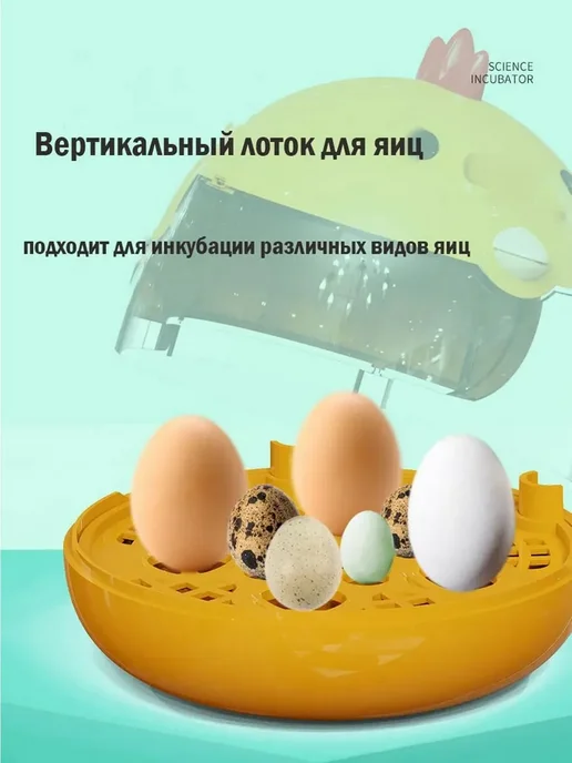 Инкубатор на 4 яйца, вариант, фото 5