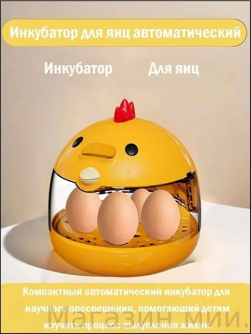 Инкубатор на 4 яйца, вариант