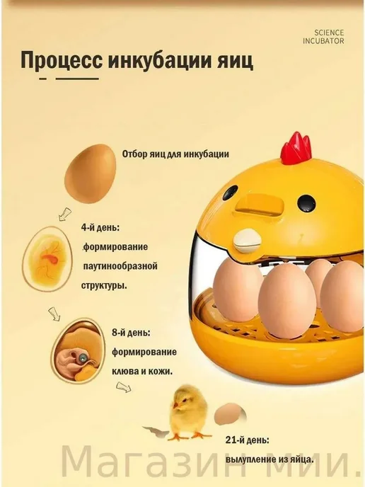 Инкубатор на 4 яйца, вариант, фото 4