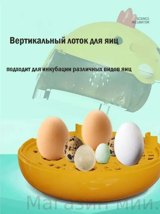 Инкубатор на 4 яйца, вариант, фото 5