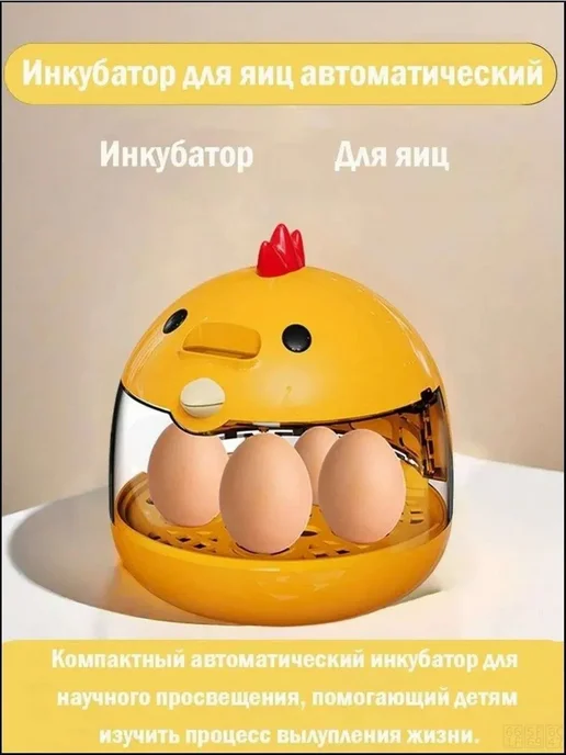 Инкубатор на 4 яйца, вариант