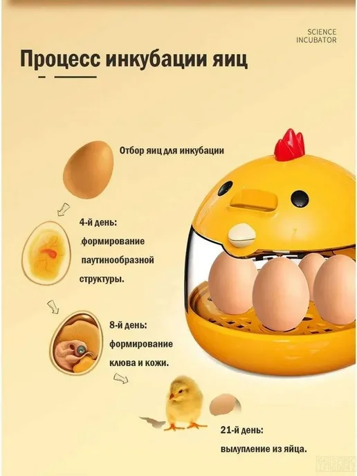 Инкубатор на 4 яйца, вариант, фото 4