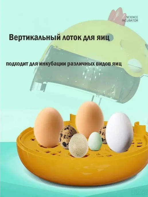 Инкубатор на 4 яйца, вариант, фото 5
