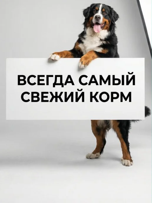 Сухой корм belkorm Рэкс для собак, крупные, 15 кг, фото 6