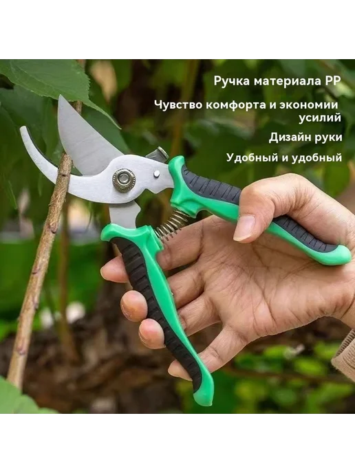 Садоводство, вариант, фото 6