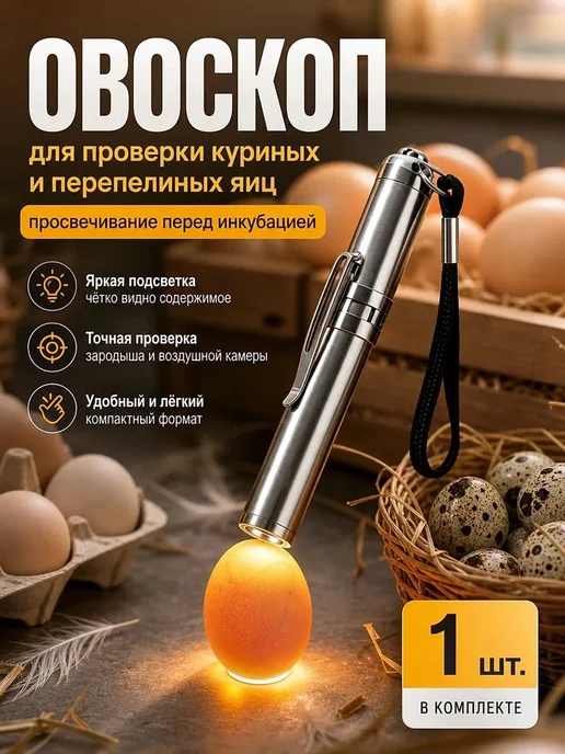 Овоскоп для куриных и перепелиных яиц, вариант