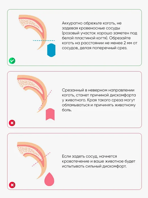 MACKENZI Когтерезка для кошек собак, черный, фото 7