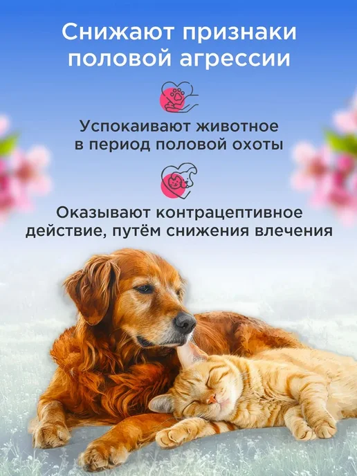 КАПЛИ ДЛЯ КОШЕК ОТ ПОЛОВОЙ ОХОТЫ, 50 мл, фото 4
